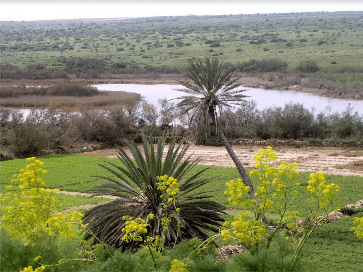 Promenade- Oued Massa