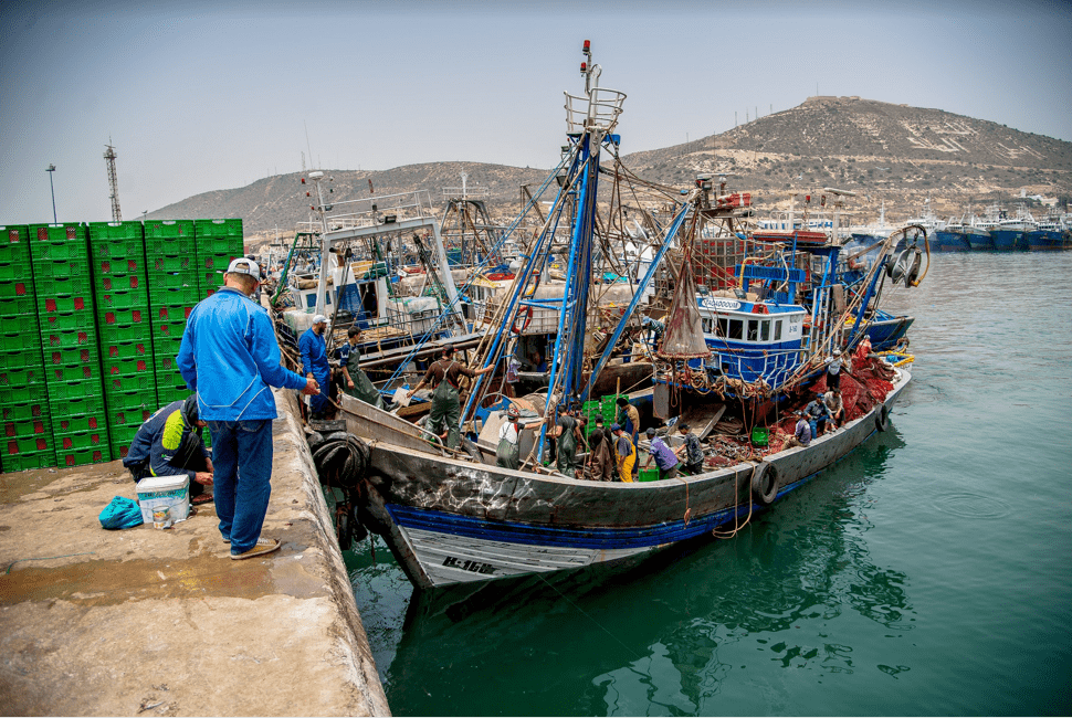 Bateaux - Port d'Agadir