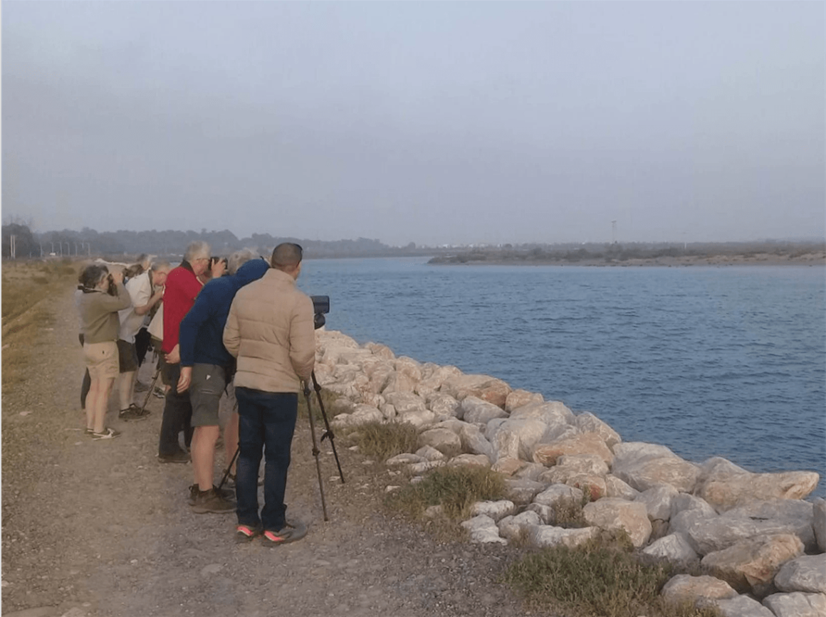 Birdwatching - Oued Souss